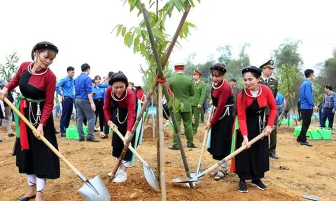 Tuyên Quang hoàn thành trồng 6 triệu cây xanh sớm 1 năm so với kế hoạch