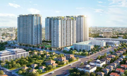 Phải đánh giá chính xác tình trạng nhà ở toàn quốc nhằm điều tiết thị trường, bảo đảm chỗ ở cho người dân