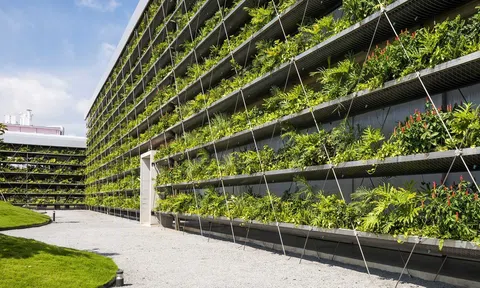 Tìm giải pháp thúc đẩy doanh nghiệp gia nhập thị trường trái phiếu xanh, trái phiếu bền vững