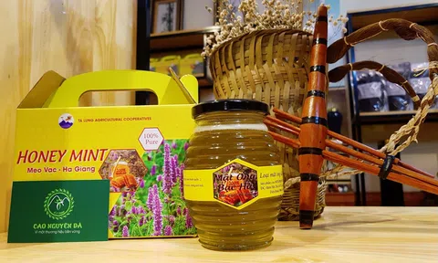 Thương hiệu nông sản gắn với bảo hộ chỉ dẫn địa lý là chìa khóa mở cửa thị trường xuất khẩu