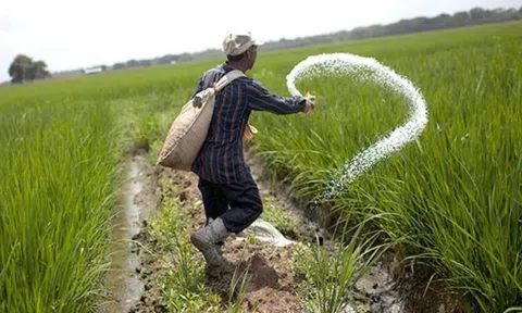 Tái cấu trúc để xanh hóa nông nghiệp nâng tầm giá trị nông sản