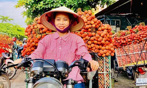 Vải thiều cuối vụ đắt hơn sầu riêng, thương lái Trung Quốc vào tận vườn tìm mua