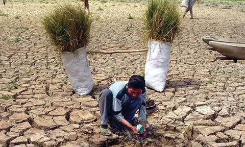 Nâng cao năng lực ứng phó sa mạc hóa và hạn hán để bảo vệ sinh thái, sử dụng đất đai bền vững