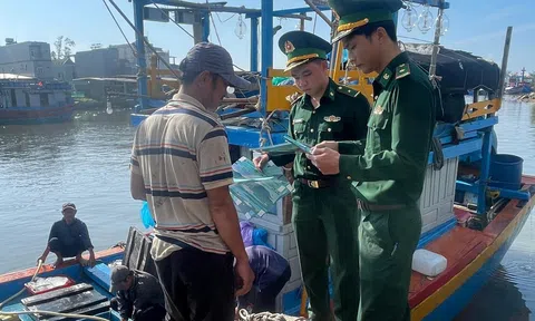 Tăng cường xử lý nghiêm các vi phạm về khai thác thủy hải sản bất hợp pháp