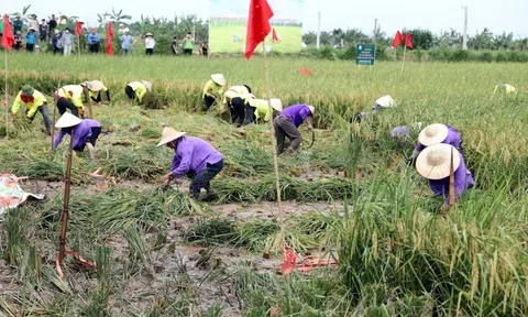 Tư duy nông nghiệp xanh tăng khả năng thích ứng, bảo vệ các nguồn tài nguyên và hệ sinh thái nông nghiệp