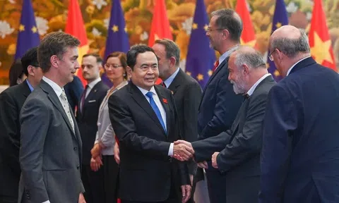 Việt Nam và EU tăng cường hợp tác tin cậy và bền vững