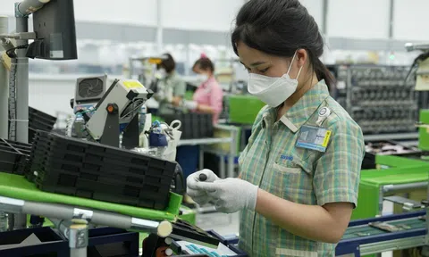 Chuyên gia kinh tế ASEAN đánh giá Việt Nam vẫn là ngôi sao sáng của khu vực