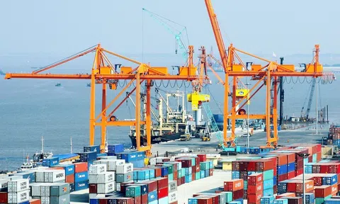 Đẩy mạnh tốc độ giải phóng hàng hoá tại cảng tháo gỡ khó khăn cho doanh nghiệp