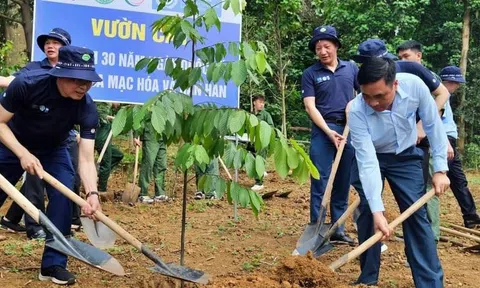 Trồng cây xanh để chung tay thực hiện Công ước chống sa mạc hóa