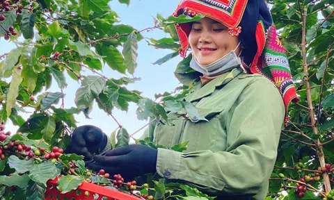 Sáng kiến và giải pháp nhằm tháo gỡ các rào cản kinh doanh đối với phụ nữ