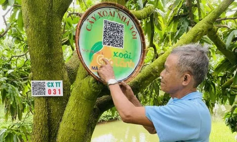 Đồng Tháp tiên phong triển khai nền tảng dữ liệu số về nông nghiệp, truy xuất nguồn gốc