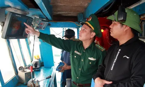 Quyết tâm gỡ cảnh báo “thẻ vàng”, Kiên Giang đẩy mạnh tuyên truyền và tăng cường quản lý