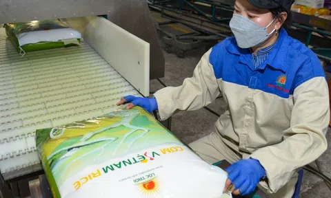 Giải pháp thăng hạng cạnh tranh cho doanh nghiệp Việt trong chuỗi cung ứng toàn cầu