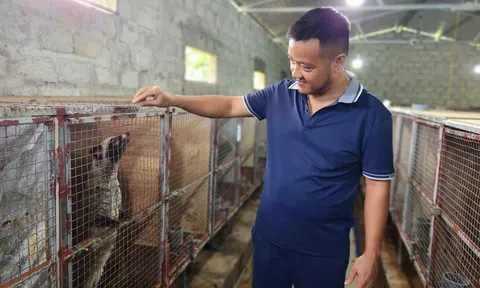 Nuôi chồn hương - mô hình chăn nuôi xanh hiệu quả cao ở Hà Tĩnh