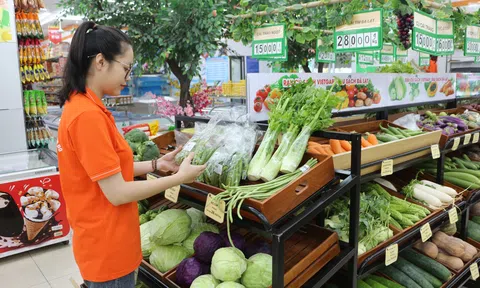 Thương hiệu Hoàng Mấm tạo dấu ấn xanh, sạch tại Thái Nguyên