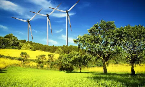 Kinh tế xanh trở thành xu thế tất yếu và cấp bách trong phát triển bền vững