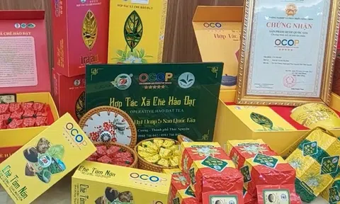Thêm 4 sản phẩm được công nhận đạt sản phẩm OCOP 5 sao - OCOP cấp quốc gia