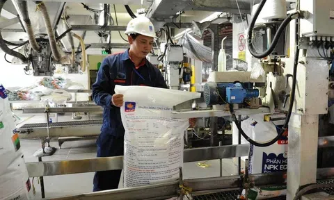 Bộ Tài chính sẽ đánh giá lại về quy định áp thuế VAT 5% đối với phân bón
