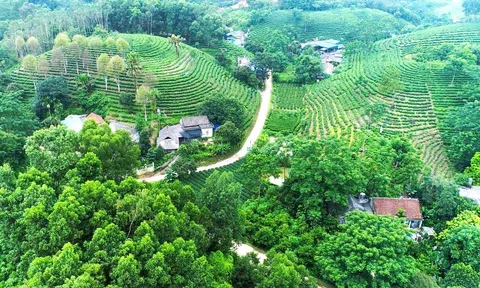 Phú Lương lấy tăng trưởng xanh làm đòn bẩy khai thác tiềm năng, lợi thế