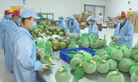 IMF dự báo tăng trưởng GDP của Việt Nam đạt gần 6% trong năm 2024