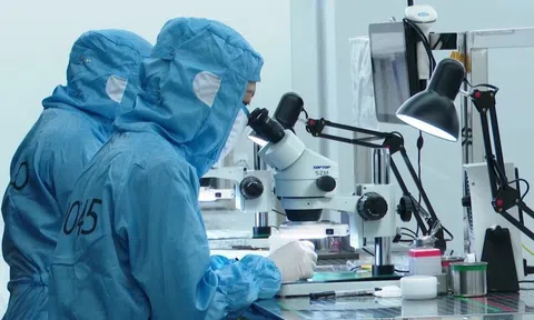 Chủ tịch EuroCham: Việt Nam luôn hấp dẫn đối với các nhà đầu tư châu Âu