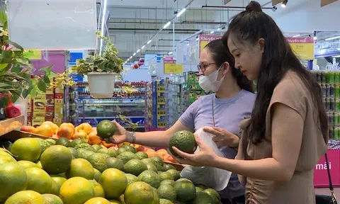 Chuyển đổi số - khơi dậy tiềm năng phát triển kinh tế xã hội tỉnh Thanh Hóa