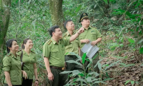 Kiểm lâm Thái Nguyên: Bảo vệ gìn giữ màu xanh trên những cánh rừng