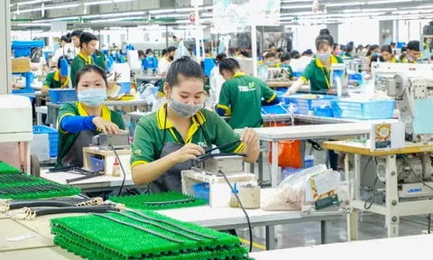 Để doanh nghiệp thực sự là chủ thể của văn hóa pháp luật