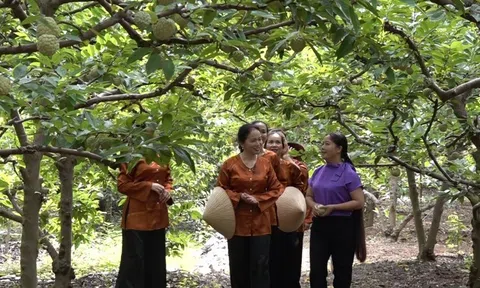 Kiến tạo thương hiệu nông sản từ nỗ lực vượt khó của Võ Nhai