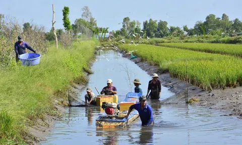 Hỗ trợ nhân rộng các mô hình nuôi tôm bền vững, thích ứng biến đổi khí hậu