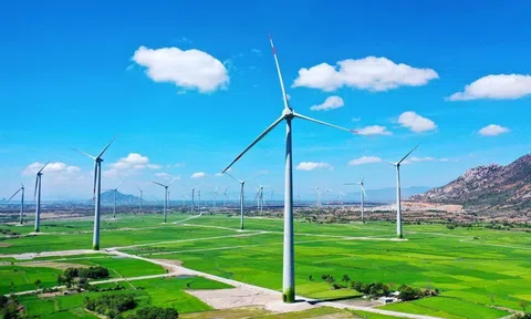 Chuyển dịch năng lượng hướng tới kinh tế xanh phát triển bền vững