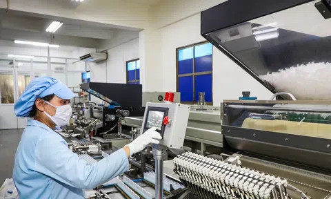 Cả nước có gần 80,5 nghìn doanh nghiệp thành lập mới trong 6 tháng đầu năm 2024