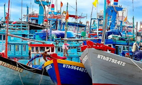 Kiên quyết gỡ "thẻ vàng" IUU: Bình Thuận giám sát đặc biệt hơn 170 tàu cá