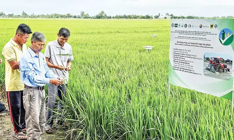 Doanh nghiệp Nhật bản hỗ trợ nông dân làm nông nghiệp xanh, giảm phát thải