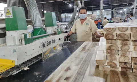 Xuất khẩu gỗ và lâm sản 6 tháng đầu năm 2024 bứt phá, xuất siêu 6,67 tỷ USD, tăng 21,6%