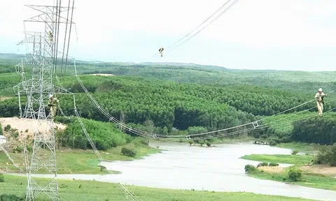 Thủ tướng chỉ đạo xử lý dứt điểm vướng mắc về diện tích sử dụng rừng liên quan tới dự án 500kV mạch 3