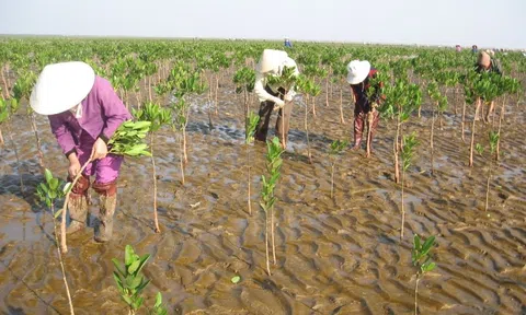 Việt Nam kêu gọi giải quyết vấn đề biến đổi khí hậu tại Hội đồng Nhân quyền Liên hợp quốc