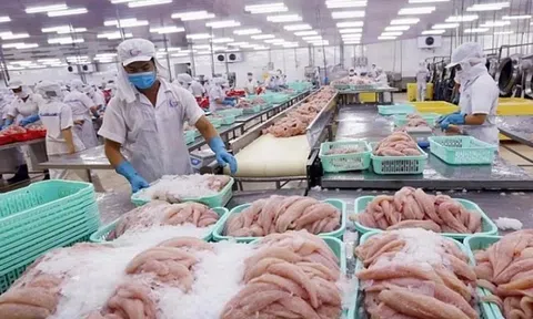 Doanh nghiệp thủy sản và giải pháp thích nghi với thị trường hướng tới mục tiêu xuất khẩu 10 tỷ USD