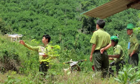 Tổ chức hợp tác rừng châu Á hỗ trợ Việt Nam chuyển giao công nghệ, chuyển đổi số trong lâm nghiệp