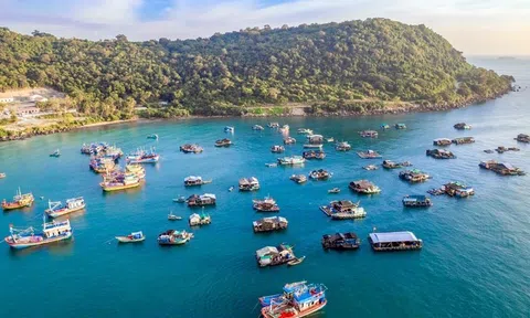 Tìm giải pháp đột phá để Kiên Giang phát triển xứng tầm trung tâm nuôi biển