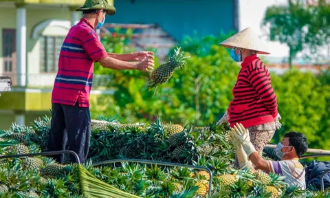 Phát huy vai trò 'nhạc trưởng' thúc đẩy chuỗi sản xuất - chế biến - tiêu thụ nông sản vùng ĐBSCL