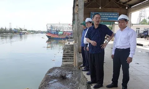 Quảng Ngãi: Tiếp tục tăng cường công tác chỉ đạo chống khai thác IUU