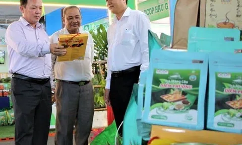 Hội chợ OCOP Hậu Giang lan tỏa tinh hoa nông sản đặc trưng