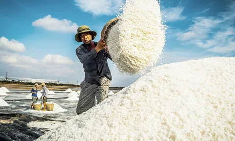 Lần đầu tiên tổ chức Festival nâng tầm giá trị hạt muối, tôn vinh nghề muối Việt Nam