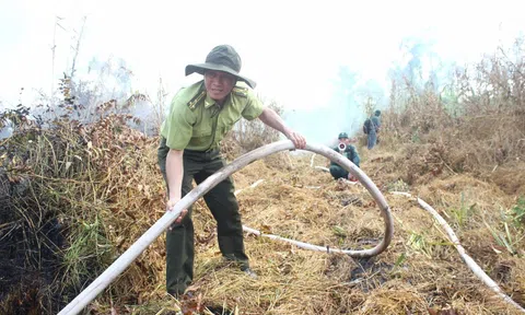 Ứng dụng công nghệ, phân cấp đồng quản lý rừng giúp Hậu Giang triển khai hiệu quả phòng chống cháy rừng