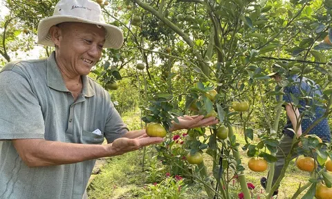 Sản lượng, diện tích sẽ kịch trần, phải nghĩ khác để nông nghiệp tiến xa