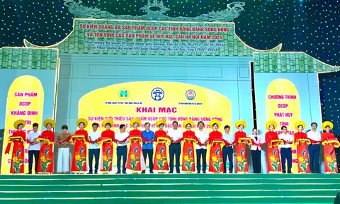 Sản phẩm OCOP vùng Đồng bằng sông Hồng hội tụ tại Thủ đô tỏa hương, khoe sắc tạo dấu ấn đặc biệt