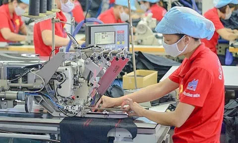 Các doanh nghiệp xuất nhập khẩu sẽ tận dụng 'trợ lực' từ các FTA thế nào để tăng tốc giai đoạn cuối năm?