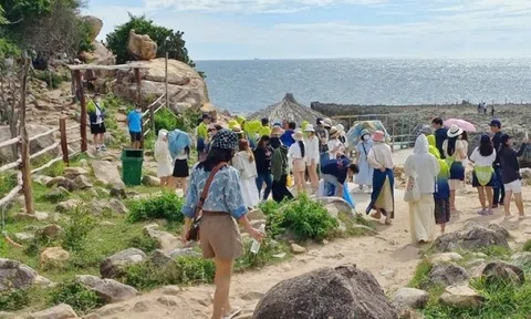 Ninh Thuận thu hút 1,97 triệu lượt khách du lịch đạt doanh thu 2.242 tỷ đồng trong 6 tháng đầu năm 2024