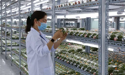 Thúc đẩy thị trường khoa học công nghệ để nhà khoa học và nông dân được kết nối, hợp tác